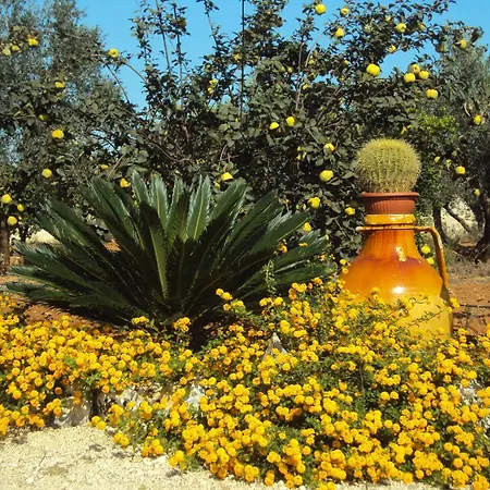 Casale In Salentina Vicino Porto Cesareo Holiday home *